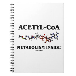 Acetyl-CoA-Metabolismus Inside (chemisches Molekül Notizblock