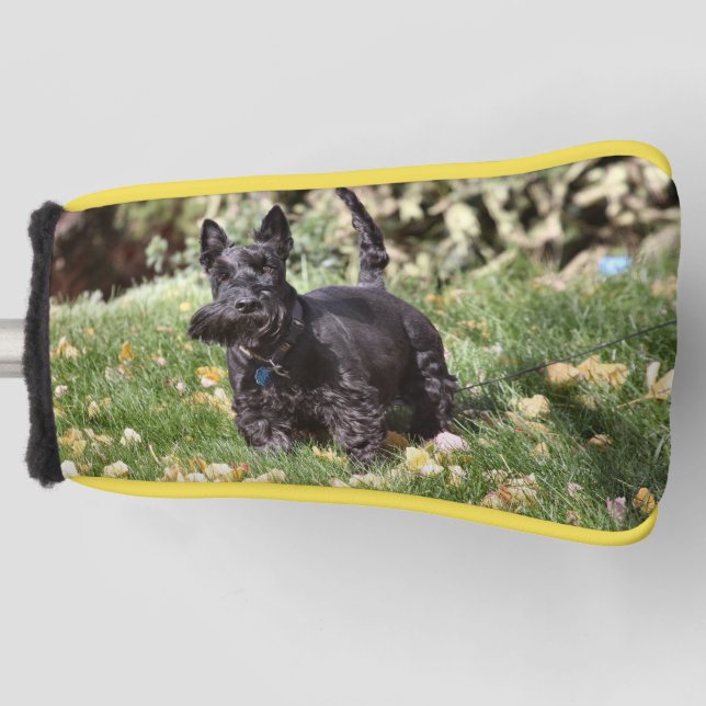 Ach Golf Headcover (Vorderseite)