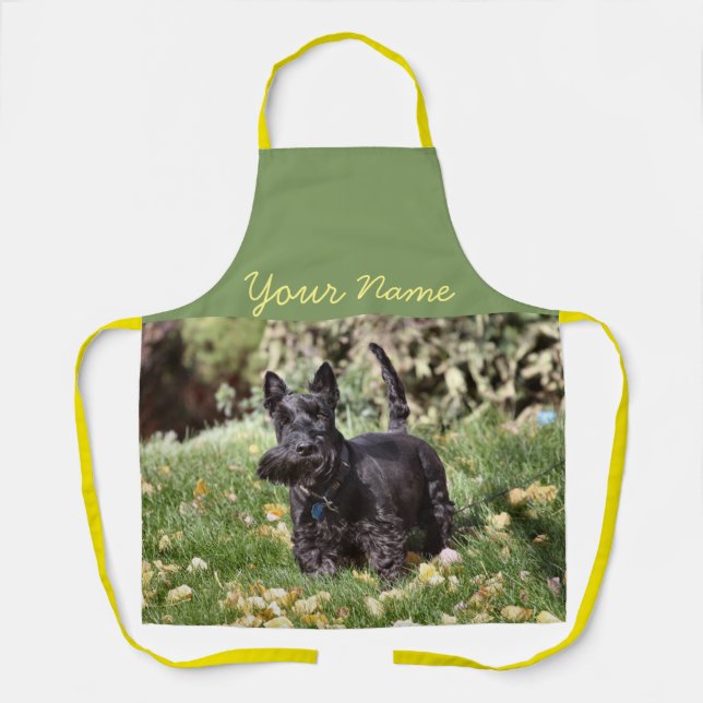 Ach Schürze (Vorderseite)