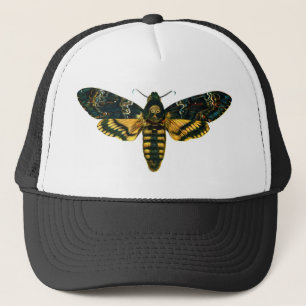 Acherontia atropos (Death's Head Hawkmoth) Truckerkappe