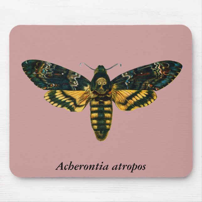 Acherontia-Atropos (Todeskopf Hawkmoth) Mousepad (Vorne)