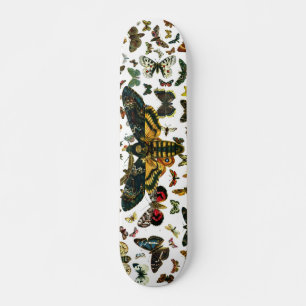 Acherontia-Atropos (Todeskopf Hawkmoth) Skateboard