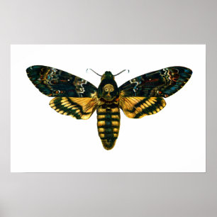 Acherontia-Atropos (Todeskopfhawkmoth) Poster