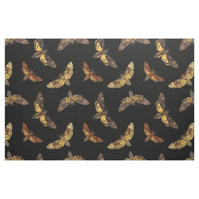 AcherontiaLachesis - Tod-köpfiges Hawkmoth Stoff (Fat Quarter (45,7 x 55,9 cm))