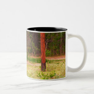 Achsenrotwild Tasse