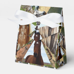 Acht Dreiecke, Gastgeschenk Geschenkschachtel