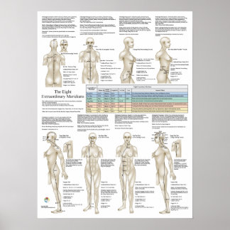 Acht Extra-Akupunktur Außergewöhnliche Meridiane Poster