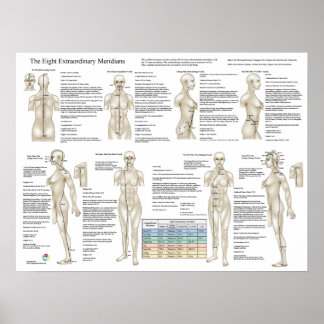 Acht Extra-Akupunktur Außergewöhnliche Meridiane Poster