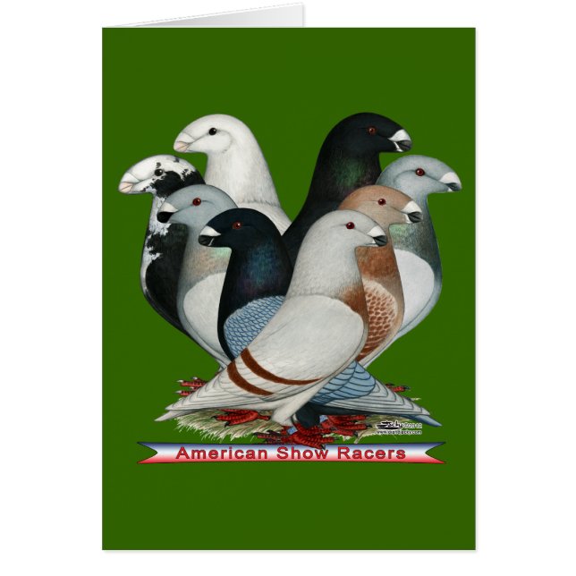 Acht Racers anzeigen (Vorne)