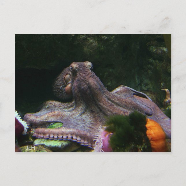 Acht Wege, um sich zu fassen Postkarte (Vorderseite)