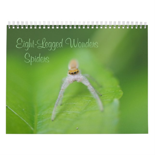 Acht Wunder - Spiders Calendar Kalender (Titelbild)