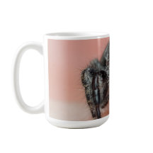 Achtbeinige Liebe: Fett Jumper Spider Merch