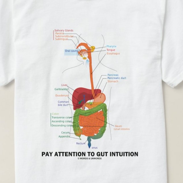 Achten Sie auf die Intuition des Darms (anatomisch T-Shirt (Digestive system attitude advice tee!)