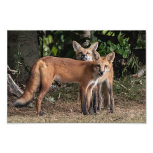 Achten Sie auf die Printwerbung meines Bruder-Foto Fotodruck