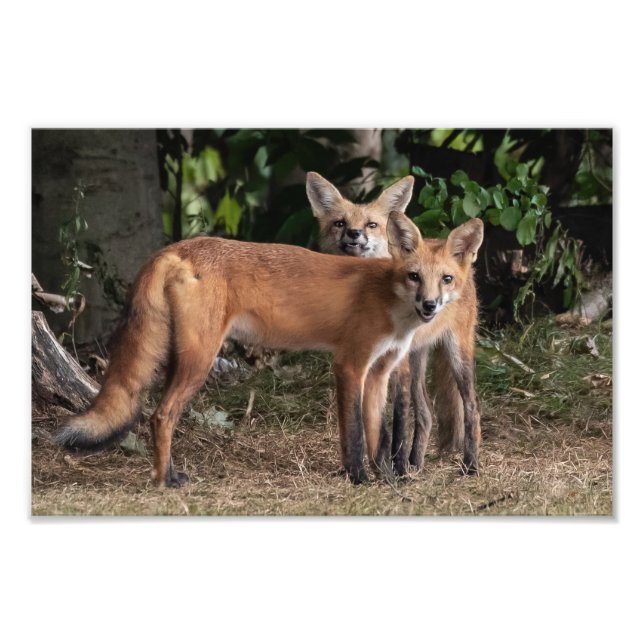 Achten Sie auf die Printwerbung meines Bruder-Foto Fotodruck (Vorne)