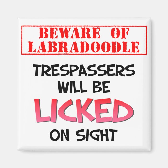 Achten Sie darauf, Labradoodle (Weiß) Magnet zu le (Vorne)