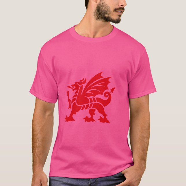 Achtsamkeit wrexham phantastisch wales die meisten T-Shirt (Vorderseite)