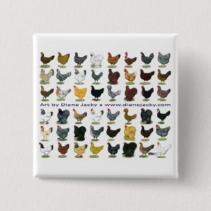 Achtundvierzig Hen Promo Button