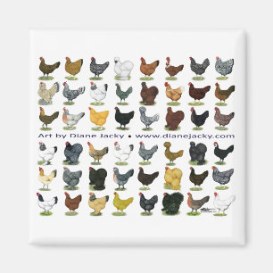 Achtundvierzig Hen Promo Magnet