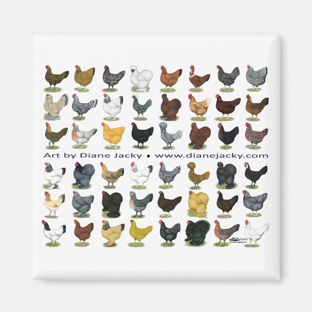 Achtundvierzig Hen Promo Magnet (Vorne)