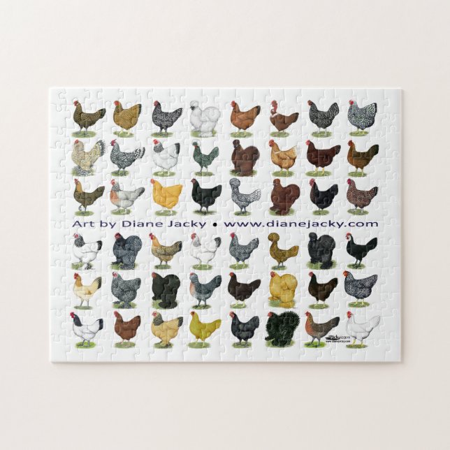Achtundvierzig Hen Promo Puzzle (Horizontal)