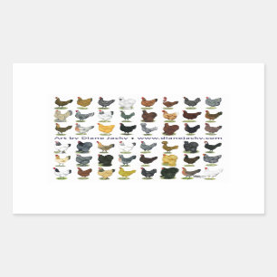 Achtundvierzig HennePromo Rechteckiger Aufkleber