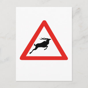 Achtung Kudus, Verkehrszeichen, Südafrika Postkarte
