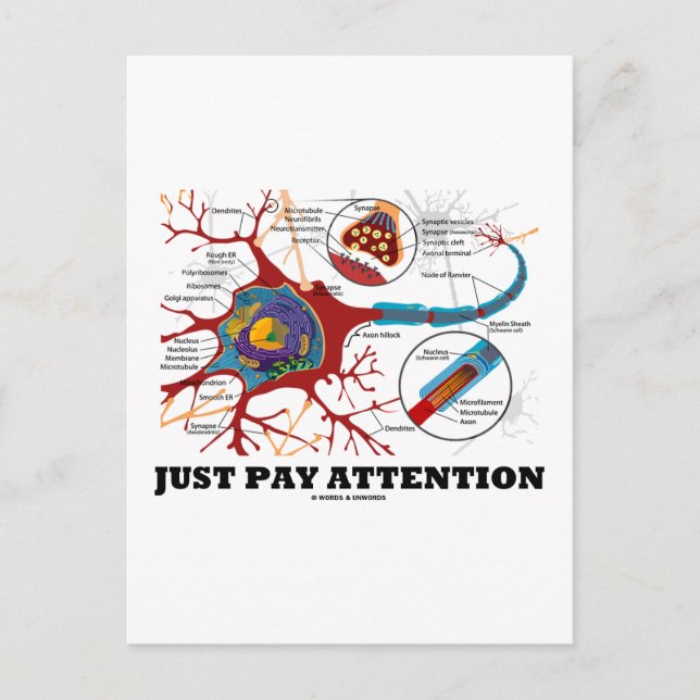 Achtung (Neuron/Synapse) Postkarte (Vorderseite)