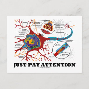 Achtung (Neuron/Synapse) Postkarte