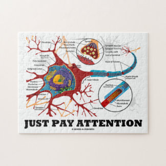 Achtung (Neuron/Synapse) Puzzle