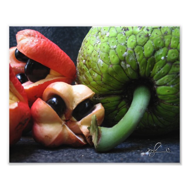 Ackee und Breadfruit Fotodruck (Vorne)