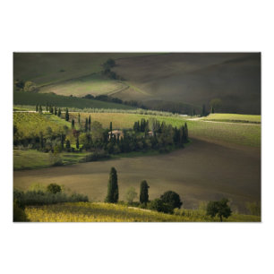 Ackerland um Montepulciano, Toskana, Italien Fotodruck