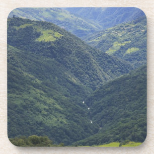 Ackerland und Himalaya-Wald im Mangdue-Tal Untersetzer