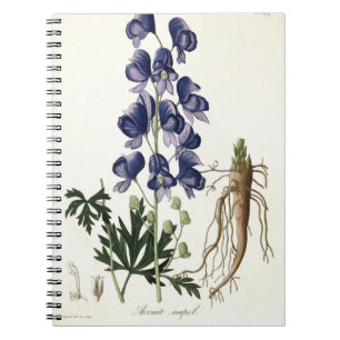 Aconitum Napellus von "Phytographie Medicale" Notizblock