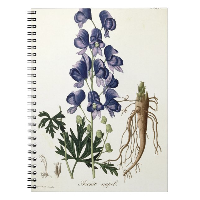 Aconitum Napellus von "Phytographie Medicale" Notizblock (Vorderseite)