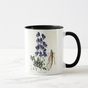 Aconitum Napellus von "Phytographie Medicale" Tasse