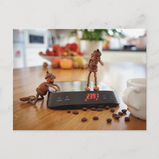 Acorn elf ärgerte sein Mädchen mit dem Gewicht Postkarte (Vorderseite)