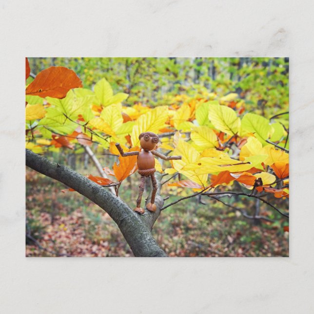 Acorn-Elf auf Buche-Herbst Postkarte (Vorderseite)