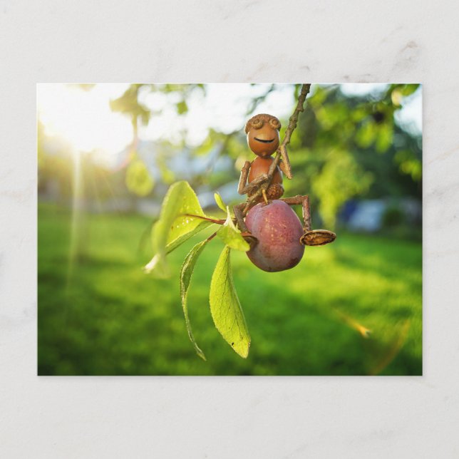 Acorn Elf auf dem plumpen Baum Sommer Postkarte (Vorderseite)