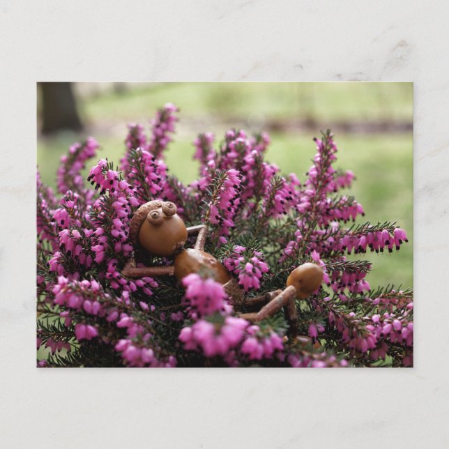 Acorn elf auf der Ansichtskarte für den Gesundheit Postkarte (Vorderseite)