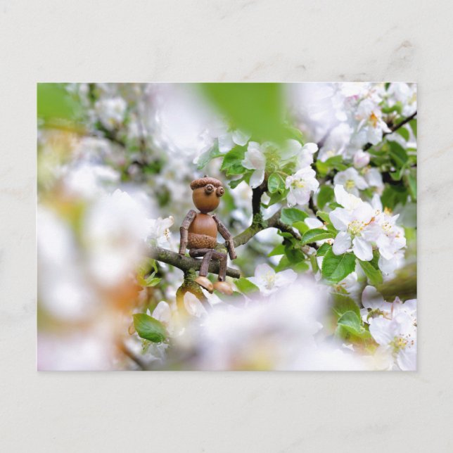Acorn elf auf der Blüte Postkarte (Vorderseite)