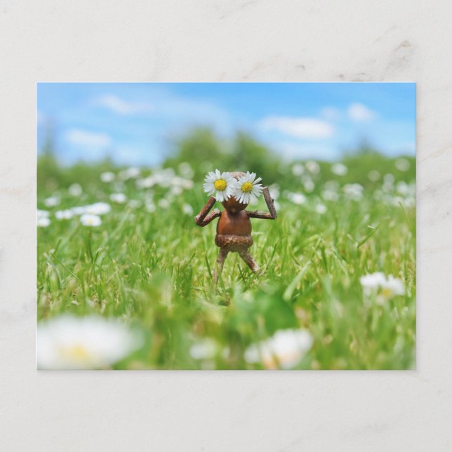 Acorn Elf auf der Wiese mit Molkereien - lustig Postkarte (Vorderseite)