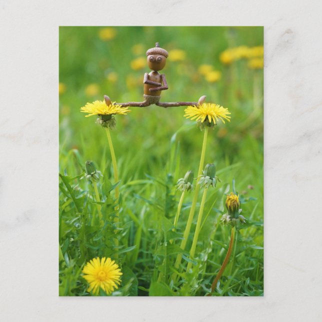 Acorn elf auf Leuchten auf der Wiese Postkarte (Vorderseite)