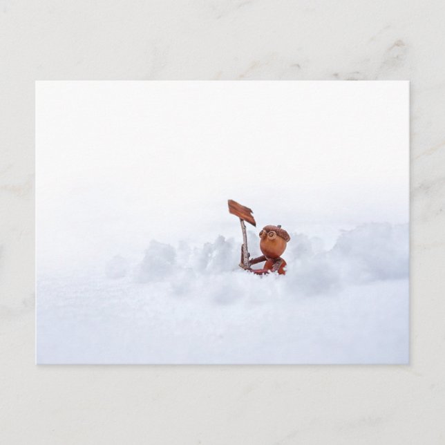 Acorn-Elf auf Schnee - Winterpostkarte Postkarte (Vorderseite)