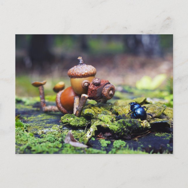 Acorn Elf Fotograf mit Bug Postkarte (Vorderseite)