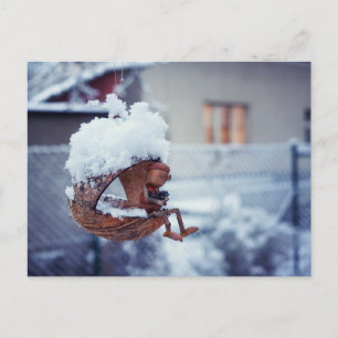 Acorn Elf fütternd Vögel Winterpostkarte Postkarte