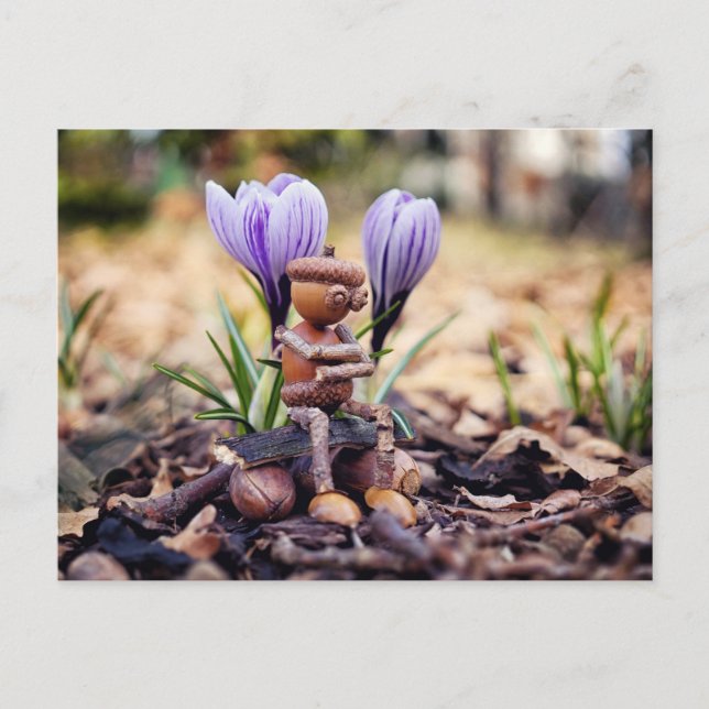 Acorn elf gewartet für die Federpostkarte Postkarte (Vorderseite)