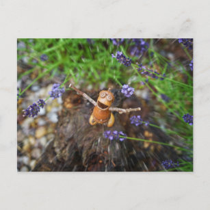 Acorn elf im Regen Postkarte
