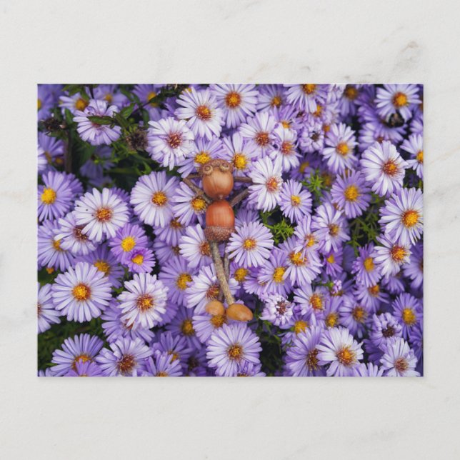 Acorn elf in den Blume Postkarte (Vorderseite)