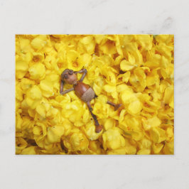 Acorn elf in der Blume Blätter Postkarte